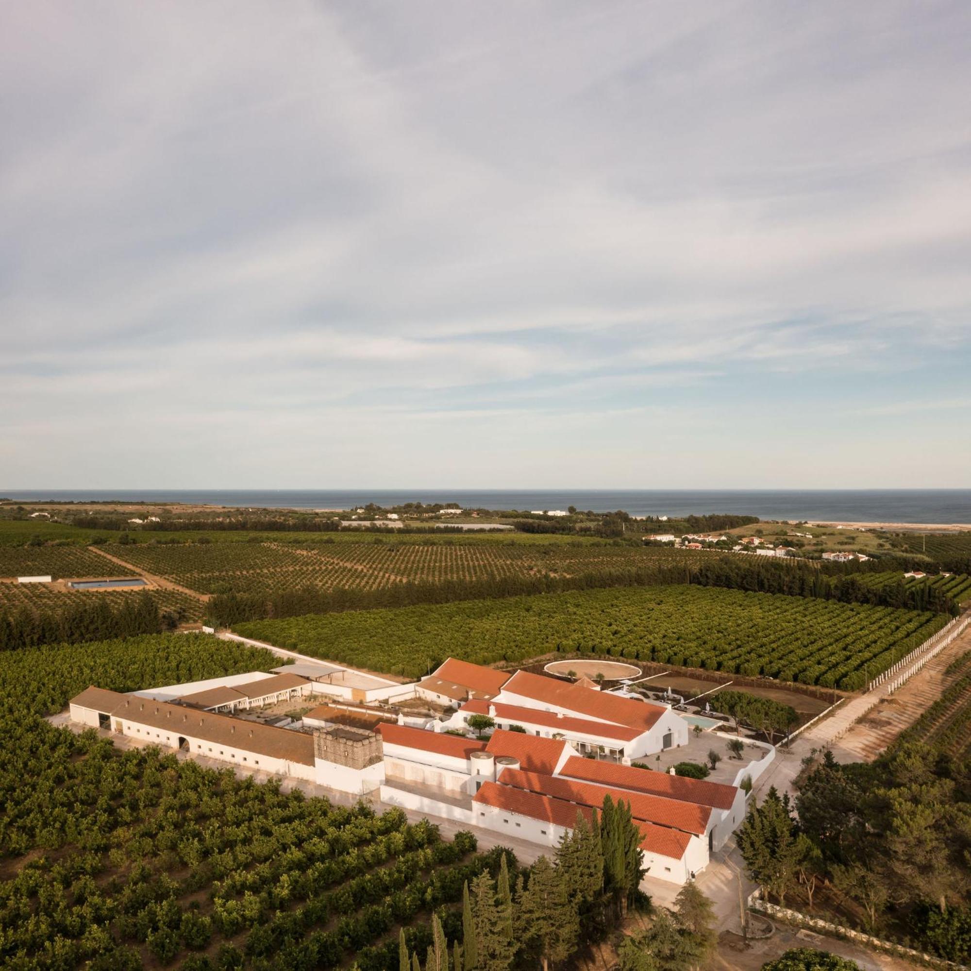 Casas Da Quinta De Cima Villa Vila Nova de Cacela Eksteriør bilde