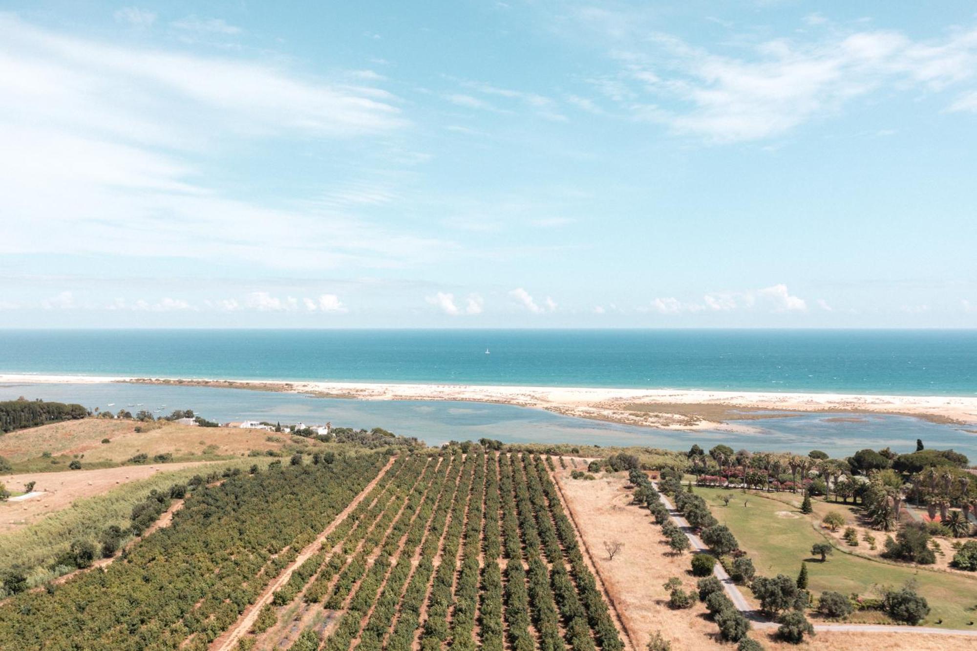 Casas Da Quinta De Cima Villa Vila Nova de Cacela Eksteriør bilde